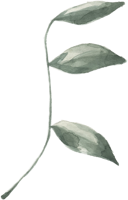 Modern oasis leaf